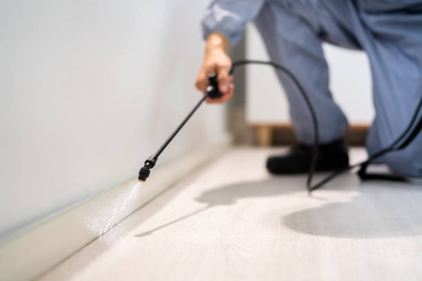 Licensed Pest Control service in Thermopolis, WY - Show Me Pest Control